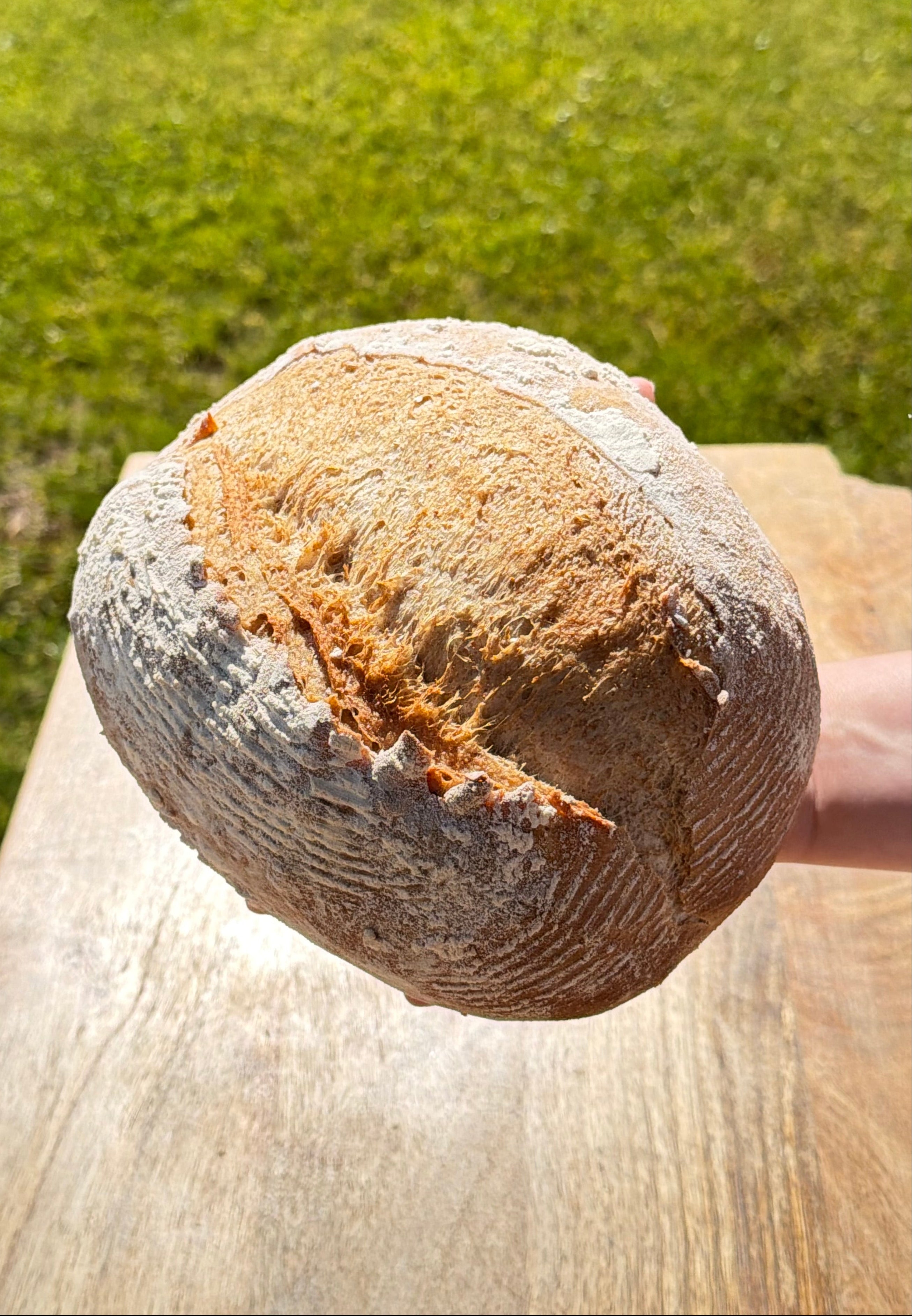 Rustic Sourdough